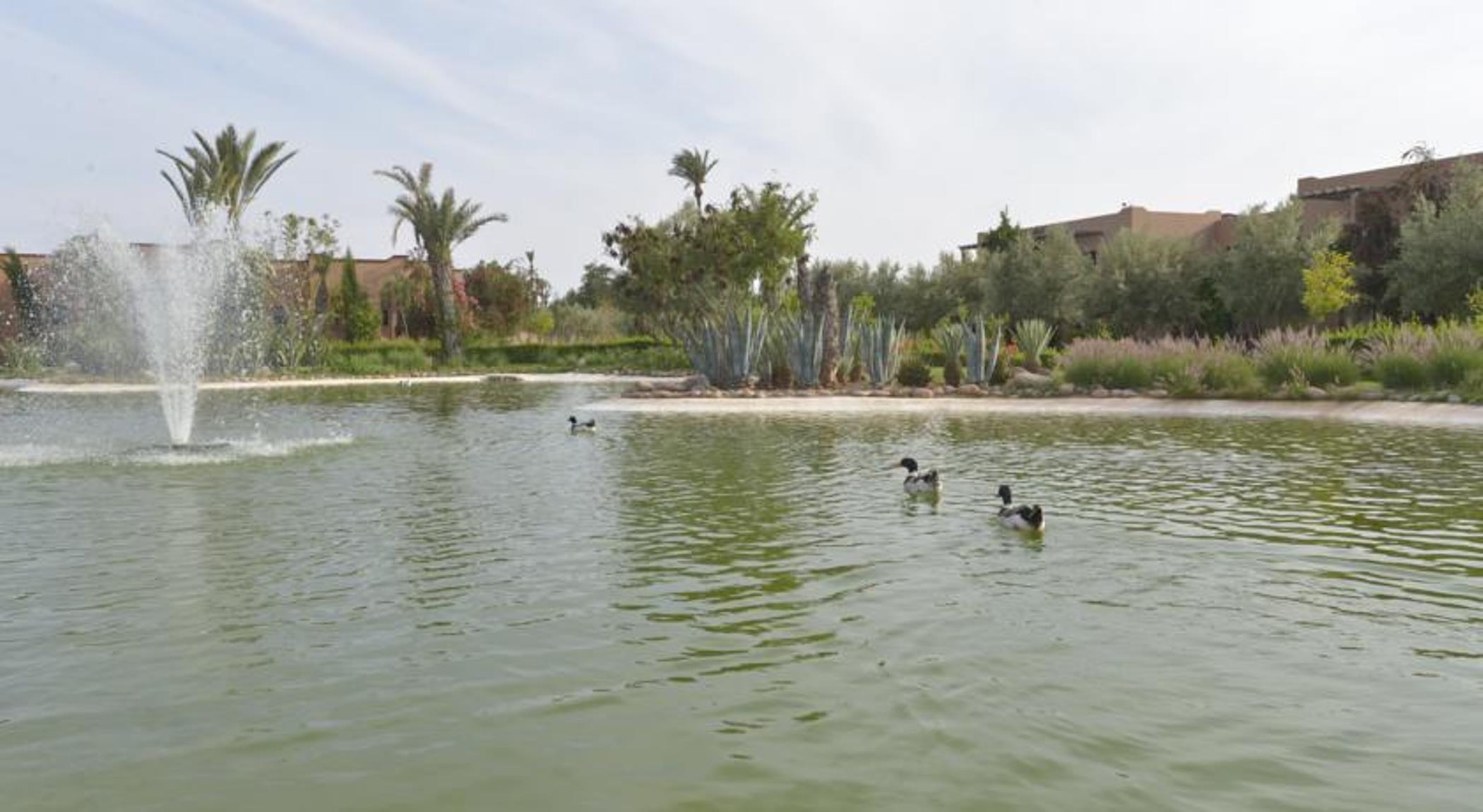 Valeria Dar Atlas All Inclusive Ouled Jelal Dış mekan fotoğraf