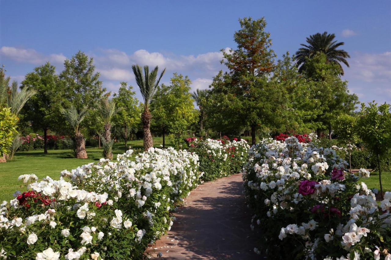 Valeria Dar Atlas All Inclusive Ouled Jelal Dış mekan fotoğraf